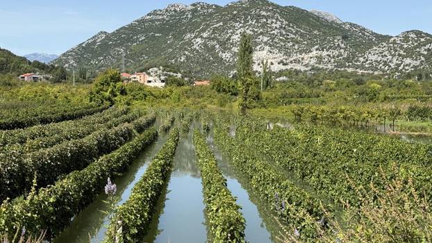 Vrgorac: Posljedice obilnih kiša na području općine Pojezere