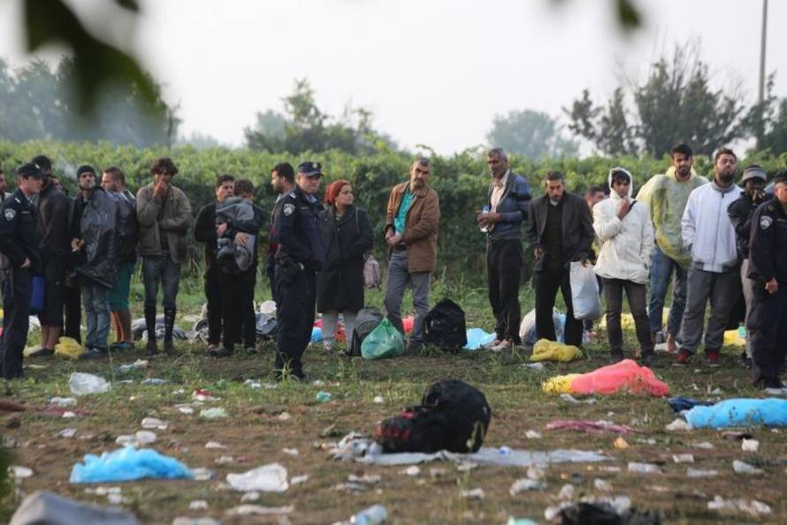 Marko Mrkonjić/PIXSELL