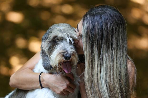 Zagreb: Hrvatska kujica Meghan proglašena najljepšim psom na svijetu