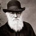 Darwin stigao na Galapagos i promijenio ideju o na&scaron;em &zcaron;ivotu