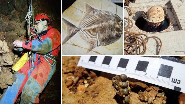 Veliko otkriće s Korčule: Upecali fosil ribe star 60 mil. godina