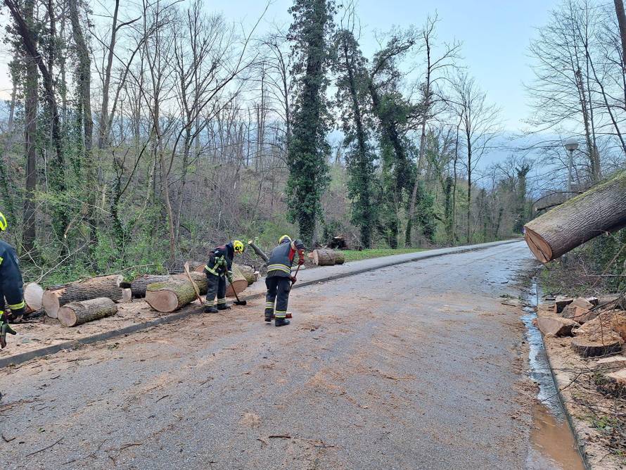 Vatrogasci objavili nove detalje: Do sada imali 1780 intervencija