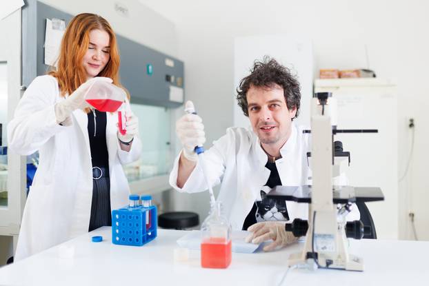 Rijeka: Znanstvenik Marko &Scaron;estan