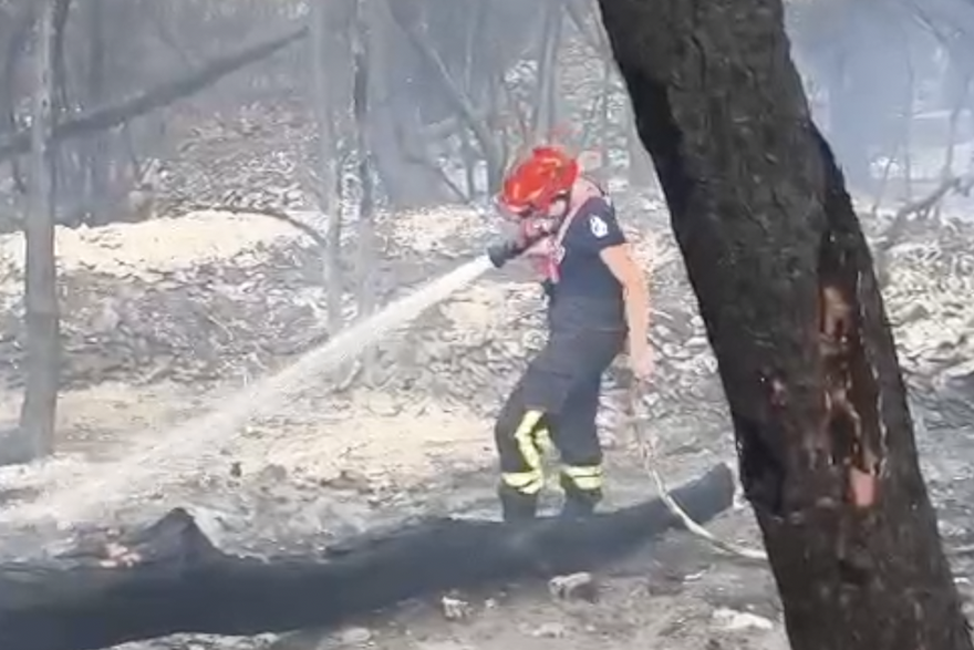 Vatrogaskinja Eliza Grgić