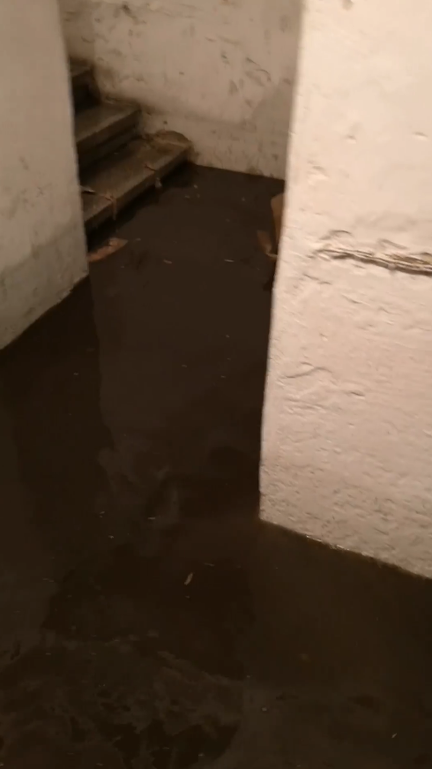 Reneu poplavio podrum: S*anja se događaju, nabavite si pumpu