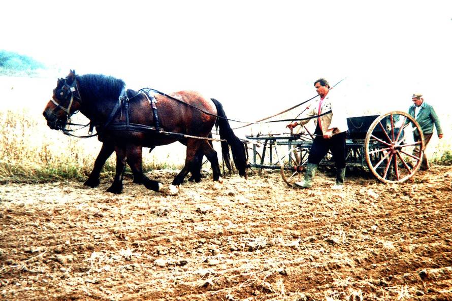 Dusko Mirkovic/PIXSELL