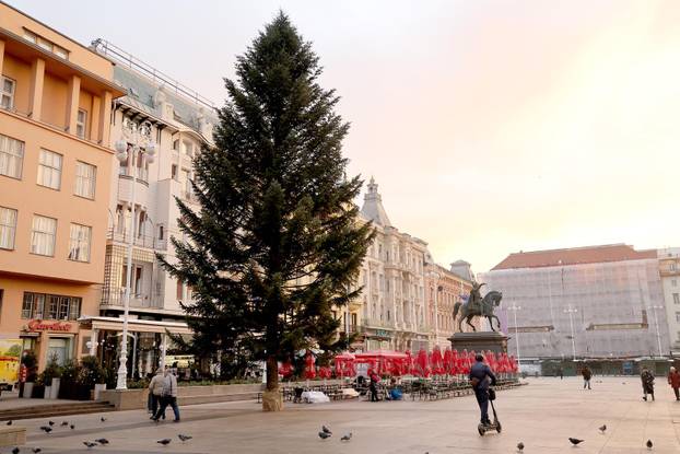 Zagreb: Na Trgu bana Jelačića postavljen bor