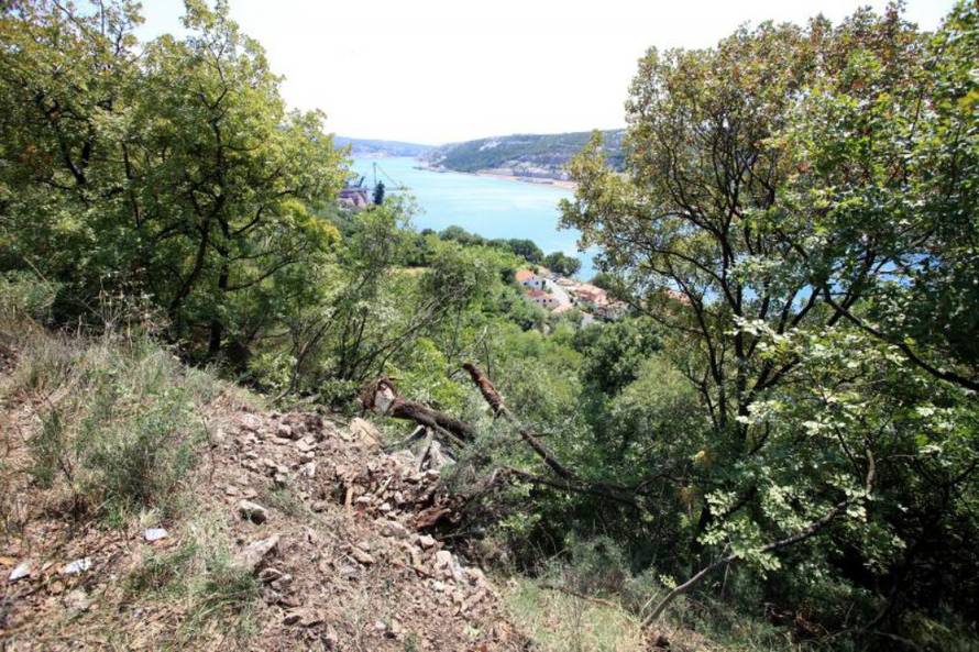 Nel Pavletić/Pixsell