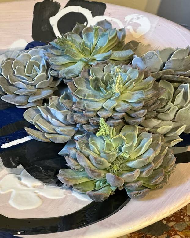 FOTO Tajne kralja cvjetnih aranžmana: 'S Majkom Terezom sam jeo uskršnji doručak'