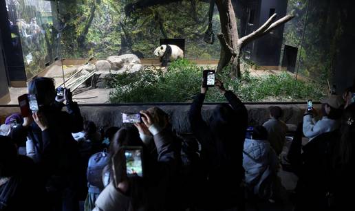 FOTO/VIDEO Japanci se oprostili od posljednjih panda koje odlaze u Kinu: 'Osje&cacute;am tugu...'