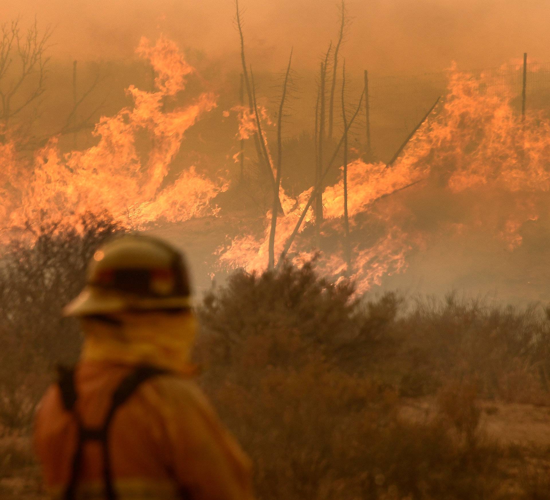 A firefighter watches the so-called Bluecut Fire in San Bernardino County, California