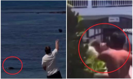 VIDEO Bahati turist kamenom ga&dstrok;ao tuljanicu. Sustigao ga lokalac i prebio: 'Sad je heroj!'