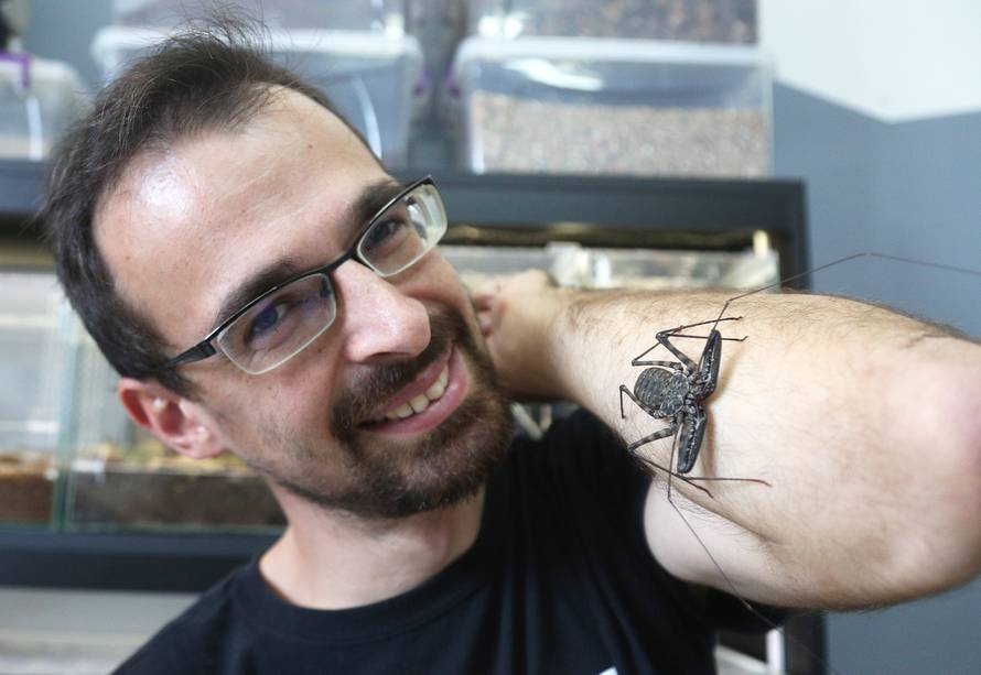 Marko je kralj tarantula: Ima ih 150, a pokrenuo je i posao...