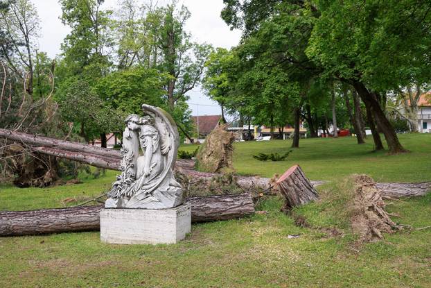 U oluji porušena stabla na Mirogoju napravila su veliku štetu