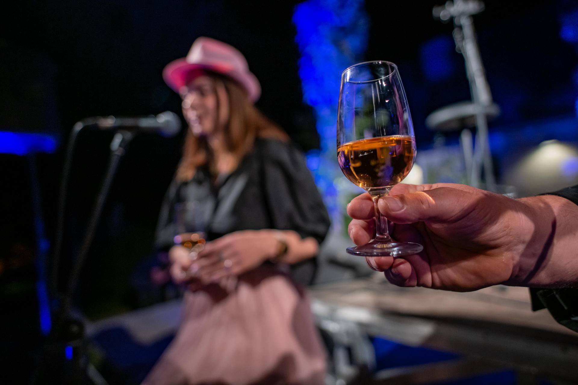 Slavonija i Podravina, wine not!? Ovaj vinski festival će vas oduševiti