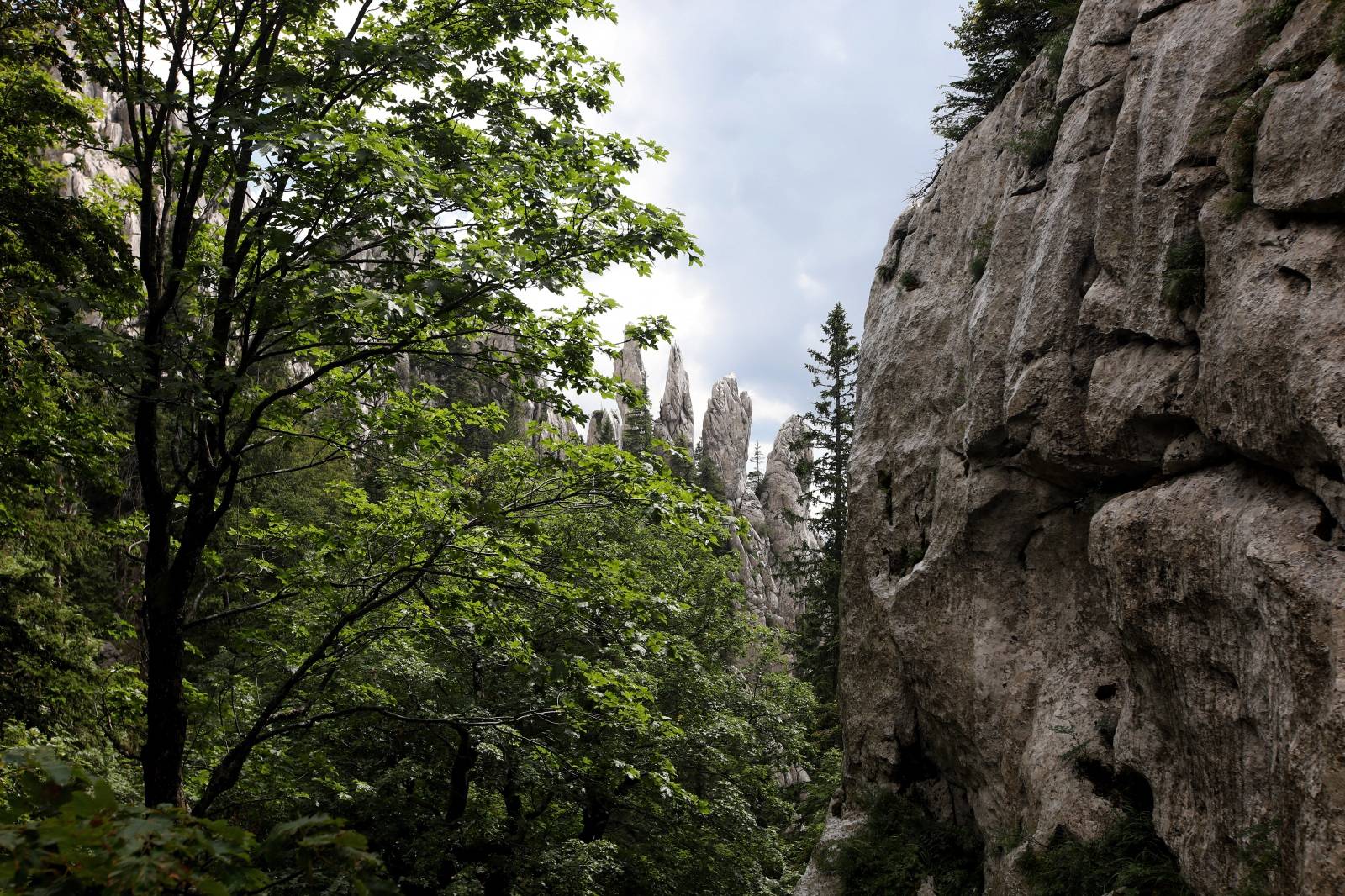 Bijele i Samarske stijene u Gorskom Kotaru
