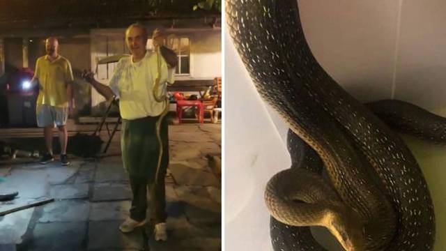 Ovo je Ivan koji je goloruk lovio zmiju u Dubravi: 'Ma nisam bio pijan, a hvatao sam i otrovnice'