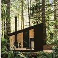 Minijaturna kućica usred šume inspirirana 'šumskom kupkom'