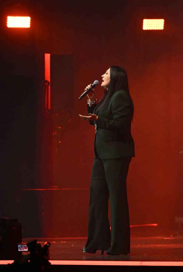 Željko Samardžić održao koncert u Areni Zagreb