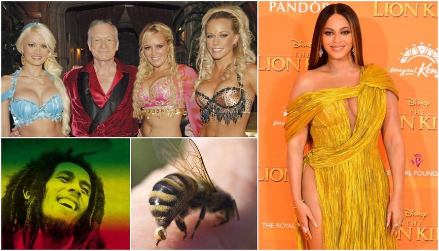 Bujna konjska muha Beyonce, parazit Bob Marley, zec Hefner