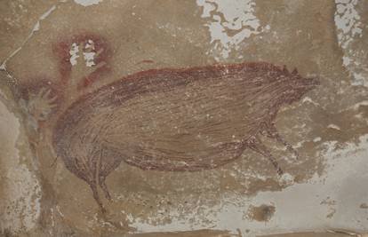 Crtež svinje iz spilje u Indoneziji nova je najstarija umjetnina