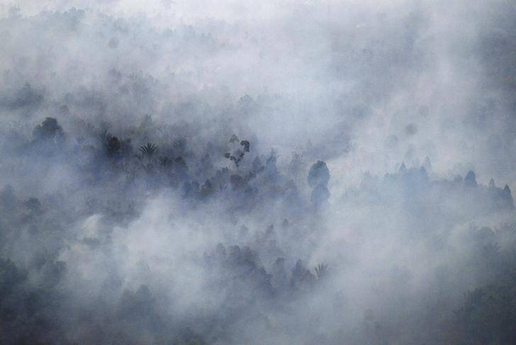 File photo of aerial view of a forest fire burning near the village of Bokor, Meranti Islands regency, Riau province, Indonesia fire burns near the village of Bokor, Meranti Islands regency, Riau province
