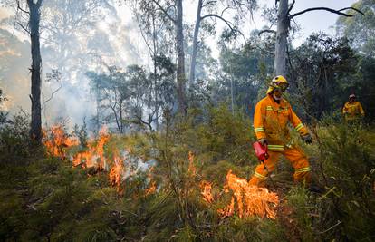Australiji opet prijete požari: U Canberri je izvanredno stanje