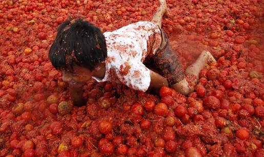 Leti leti rajčica na Tomatini! Čak 4 tone iskoristili u gađanju