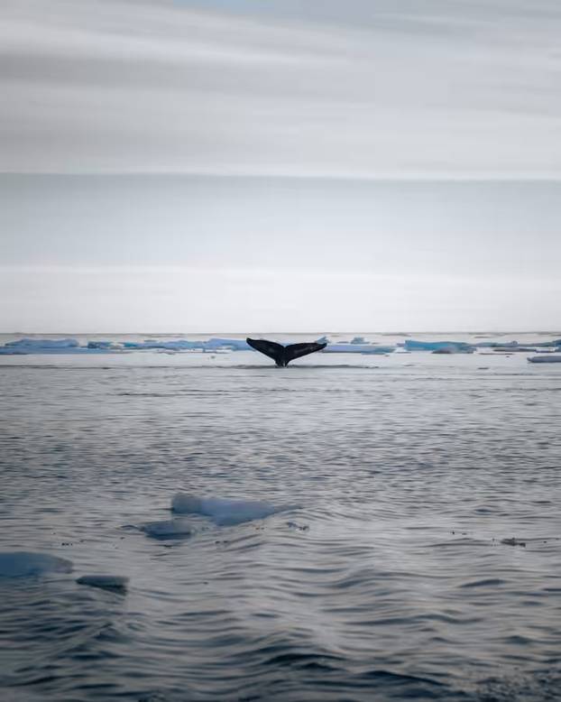 FOTO Ovo je prva plutajuća kućica za odmor na Grenlandu: Cijena noćenja će vas šokirati