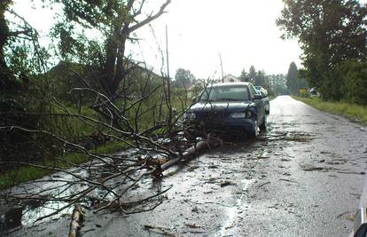 U Posavini padao led veličine oraha, stablo je palo na auto