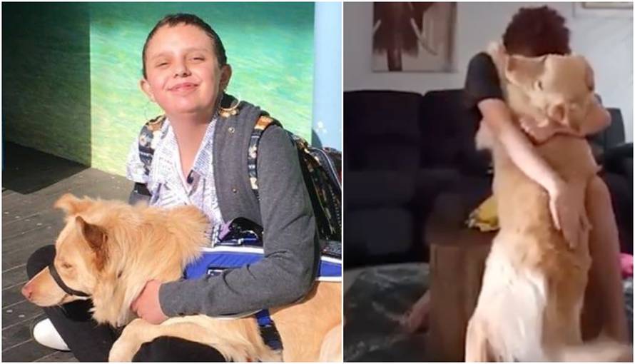 Pas Marley spasio vlasnicu s autizmom od opasnog napadaja