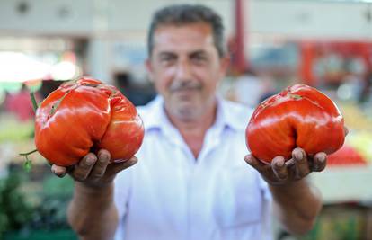Željko je uzgojio rajčicu koja je bila  teška čak 1,6 kilograma