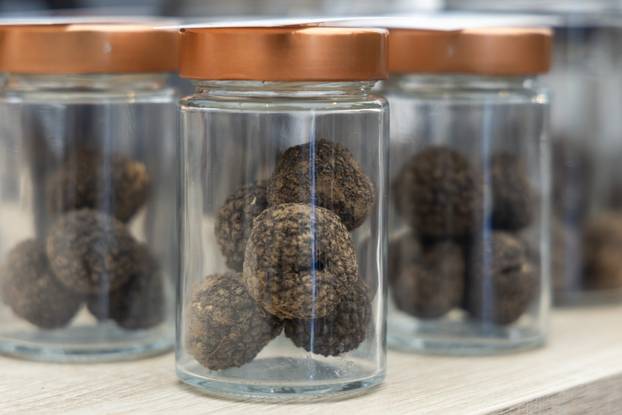 Održani Dani Zigante tartufa u Livadama