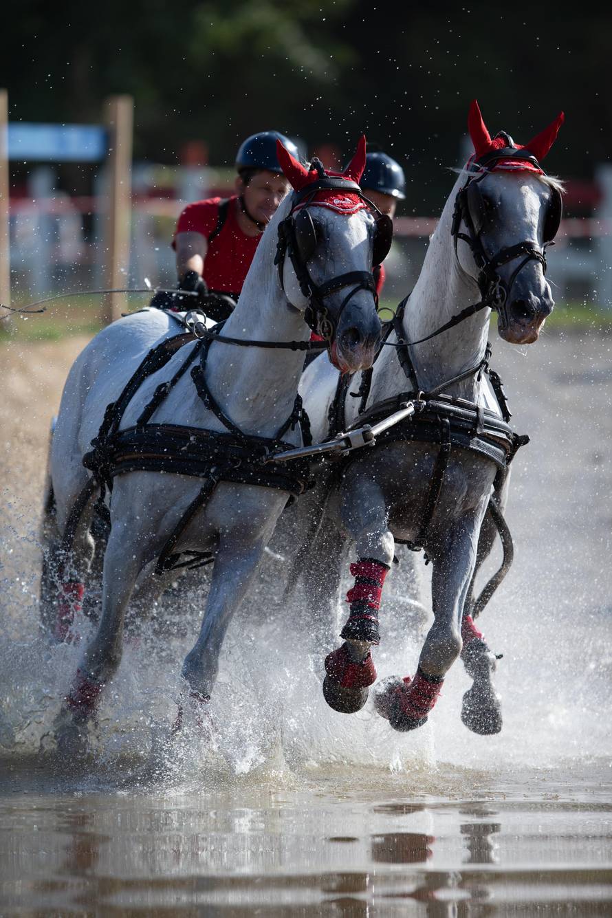 U Feričancima po prvi put održana CAN-a, međunarodno konjičko natjecanje