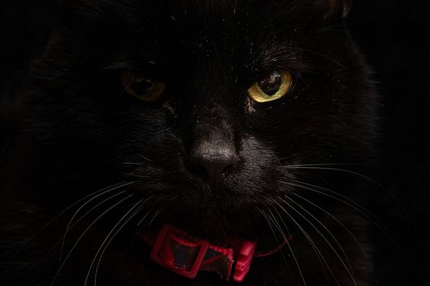 PIXSELL TOP 100 - 2025