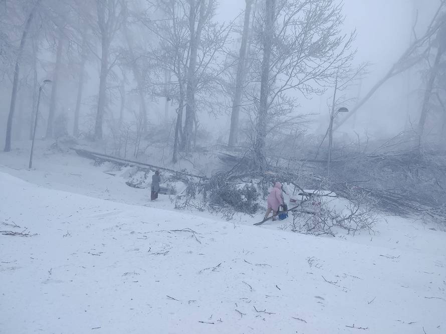 Srednjoškolci zbog snijega zapeli u Tomislavovu domu: 'Stablo je palo na sedam auta'