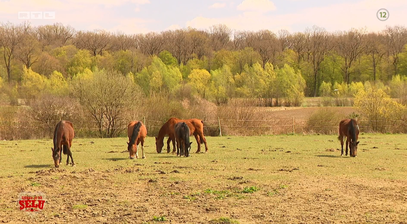 Farmer Hrvoje u novoj sezoni 'Ljubav je na selu' o razlici u godinama: 'Nije mi to važno...'