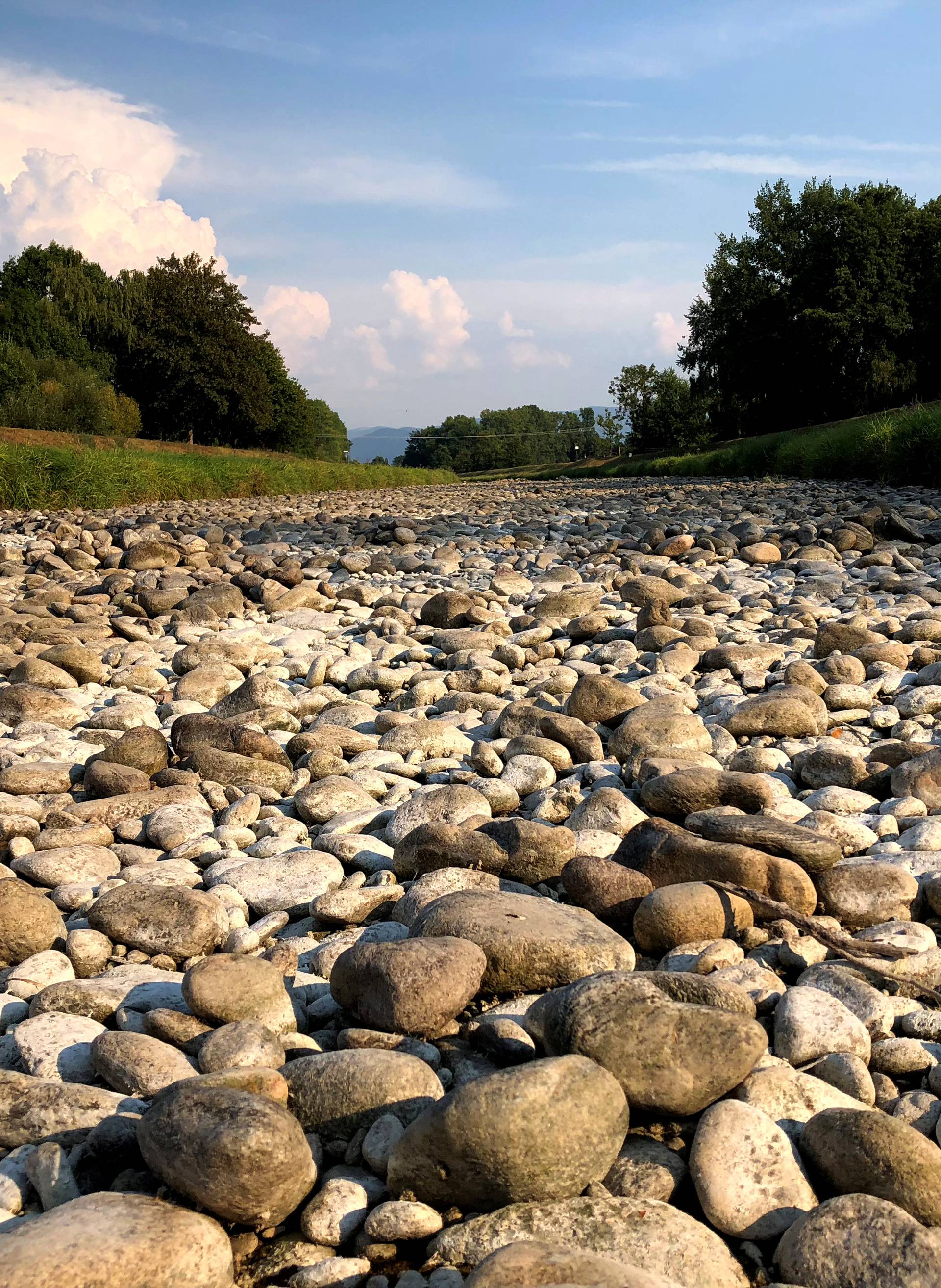 The view of the Dreisam dried-out river bed in March, near Freiburg