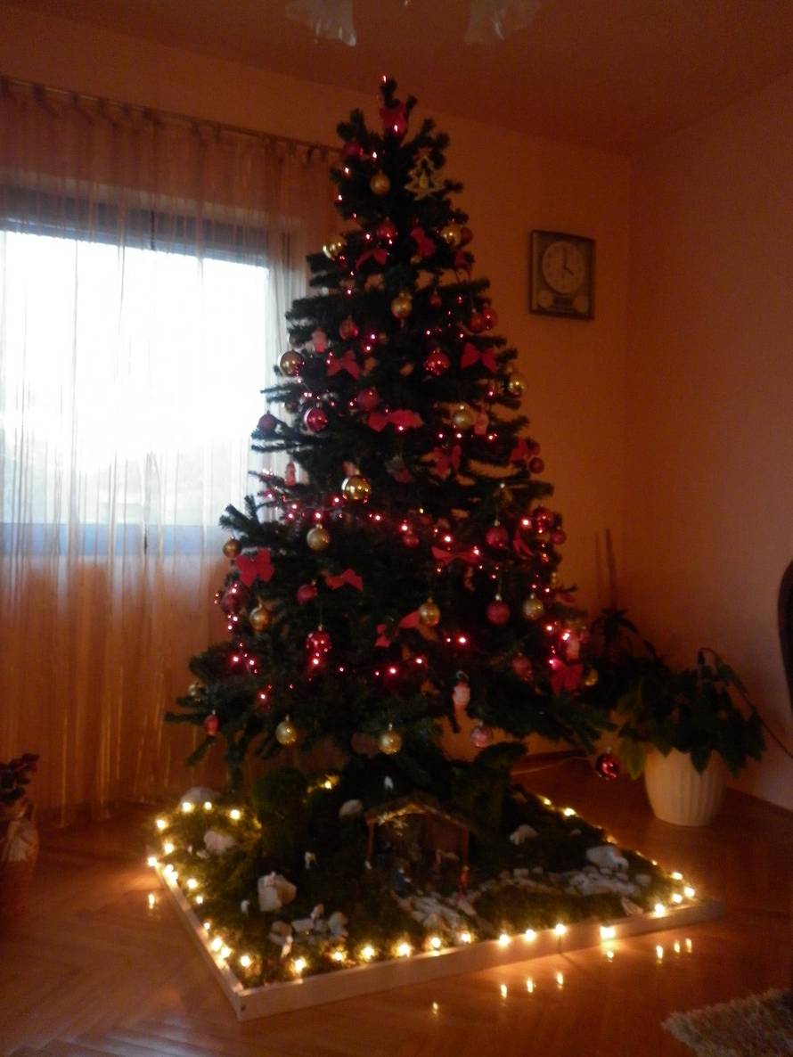 Šaljite fotografije božićnih jelki i osvojite vrijednu nagradu...