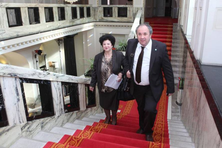 Patrik Macek/PIXSELL