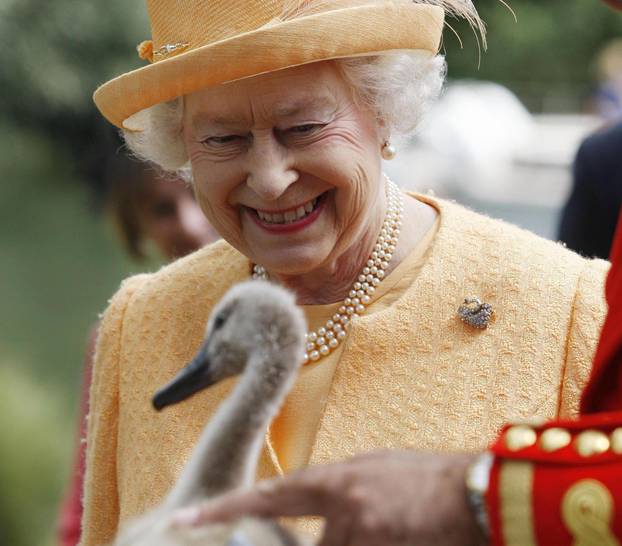 Queen attends annual Swan Upping