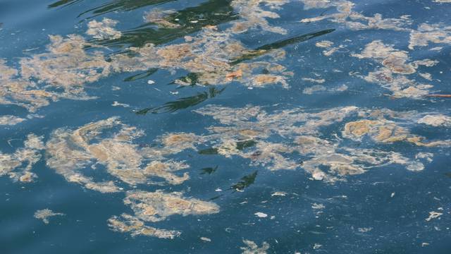 U tijeku je čišćenje: Gotovo cijeli zaljev onečišćen naftom