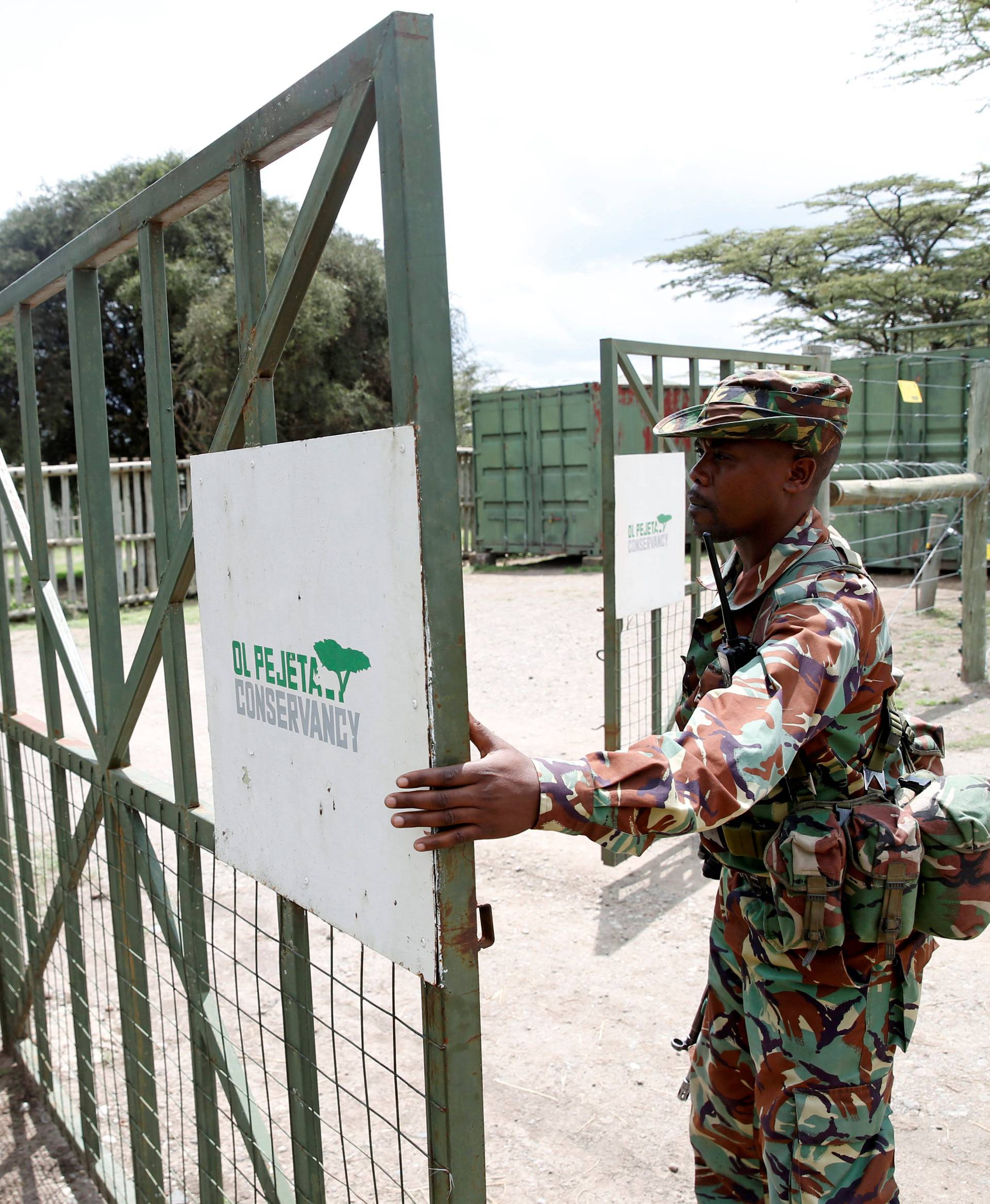 A wildlife ranger guards the enclosure where Sudan, the last male northern white rhino, who died on Monday, was kept in the Ol Pejeta Conservancy in Laikipia National Park
