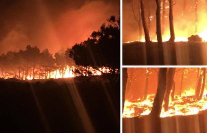 Dramatična snimka: Pogledajte kako požar guta šumu na Zrću