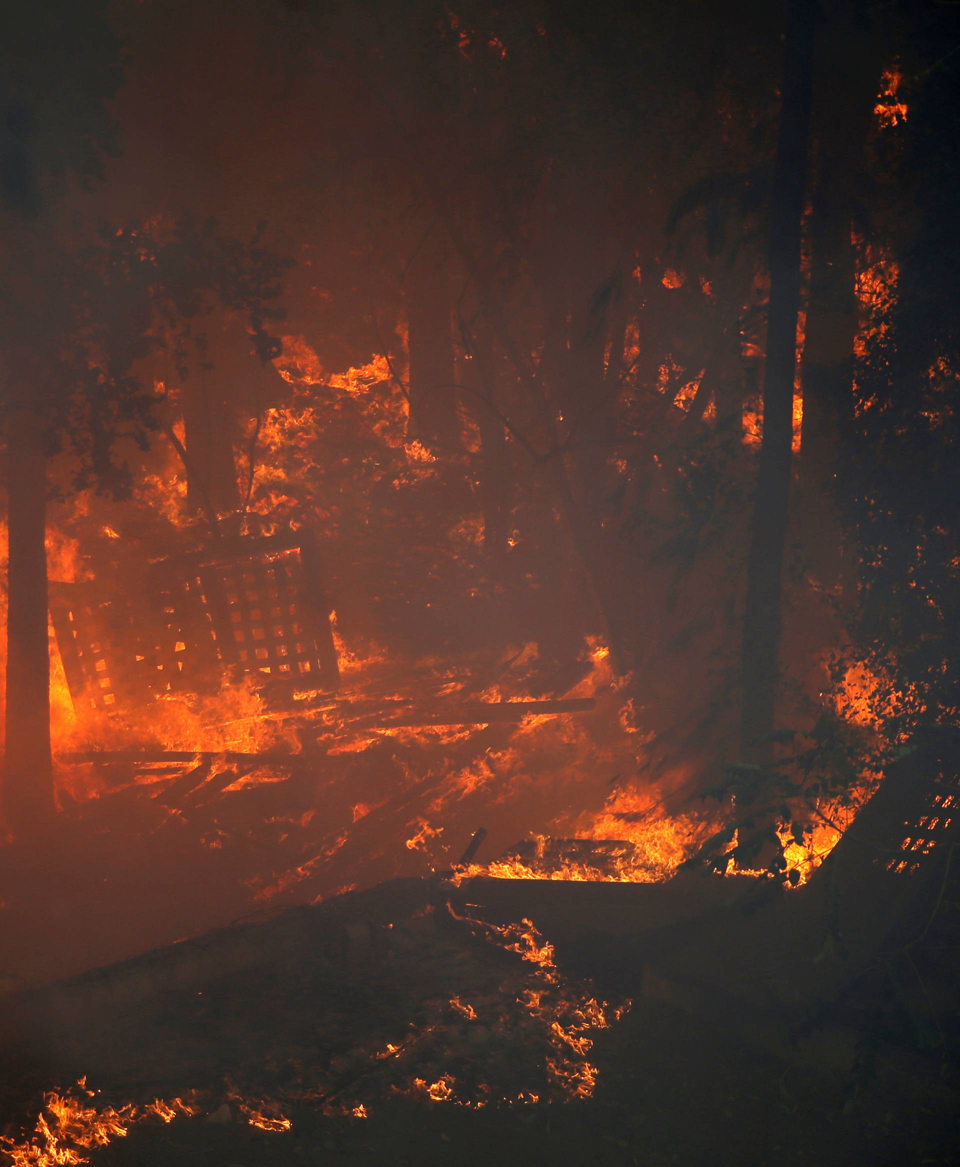 Flames blaze in the woods as a wildfire rages in the northern city of Haifa, Israel 