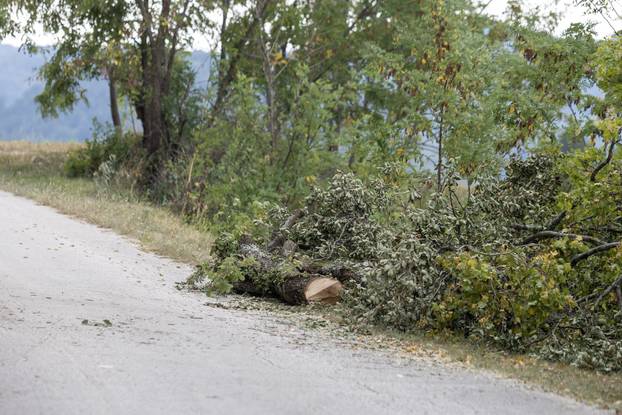 U okolici Pazina stablo usmrtilo trogodi&scaron;nje dijete