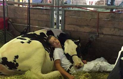 Dječak zaspao s obiteljskom kravom i oduševio internet