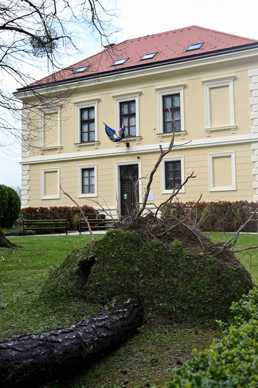 Zagreb: U nevremenu teško oštećeno gradsko groblje Mirogoj