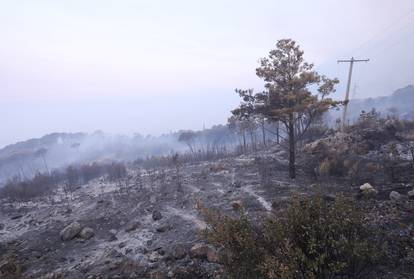 GALERIJA Opustošena Podgora: Umorni vatrogasci borili su se cijelu noć, vatra gutala čamce...