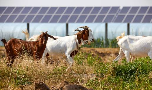 Agrosolari kao način borbe protiv klimatskih promjena: 'Ovo ne smijemo zanemariti'